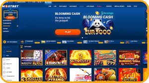MostBet Evaluation